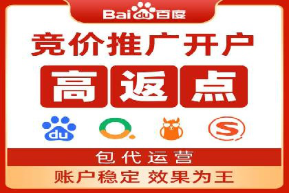 某电商平台的SEM广告投放策略及效果评估
