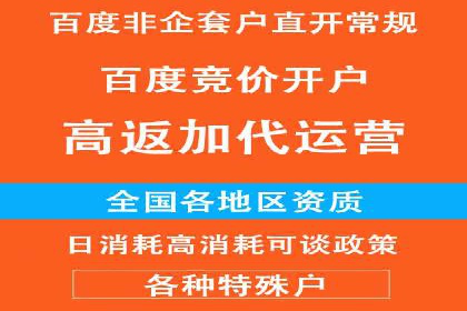 探索百度竞价托管公司的成功之路
